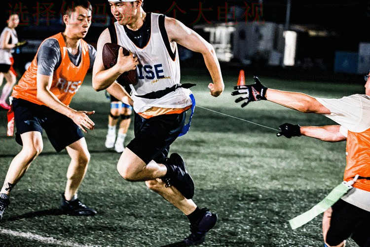 乐动体育最新网站动态资讯汇总 乐动体育最新网站动态资讯汇总