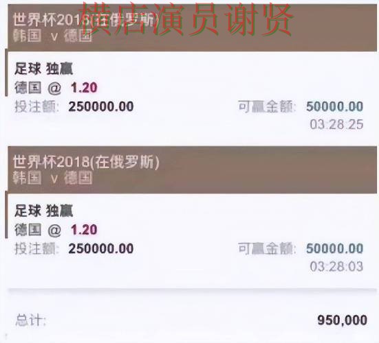 世界杯投注平台推荐访问方式怎么选？精选给你答案（世界杯官方信息）